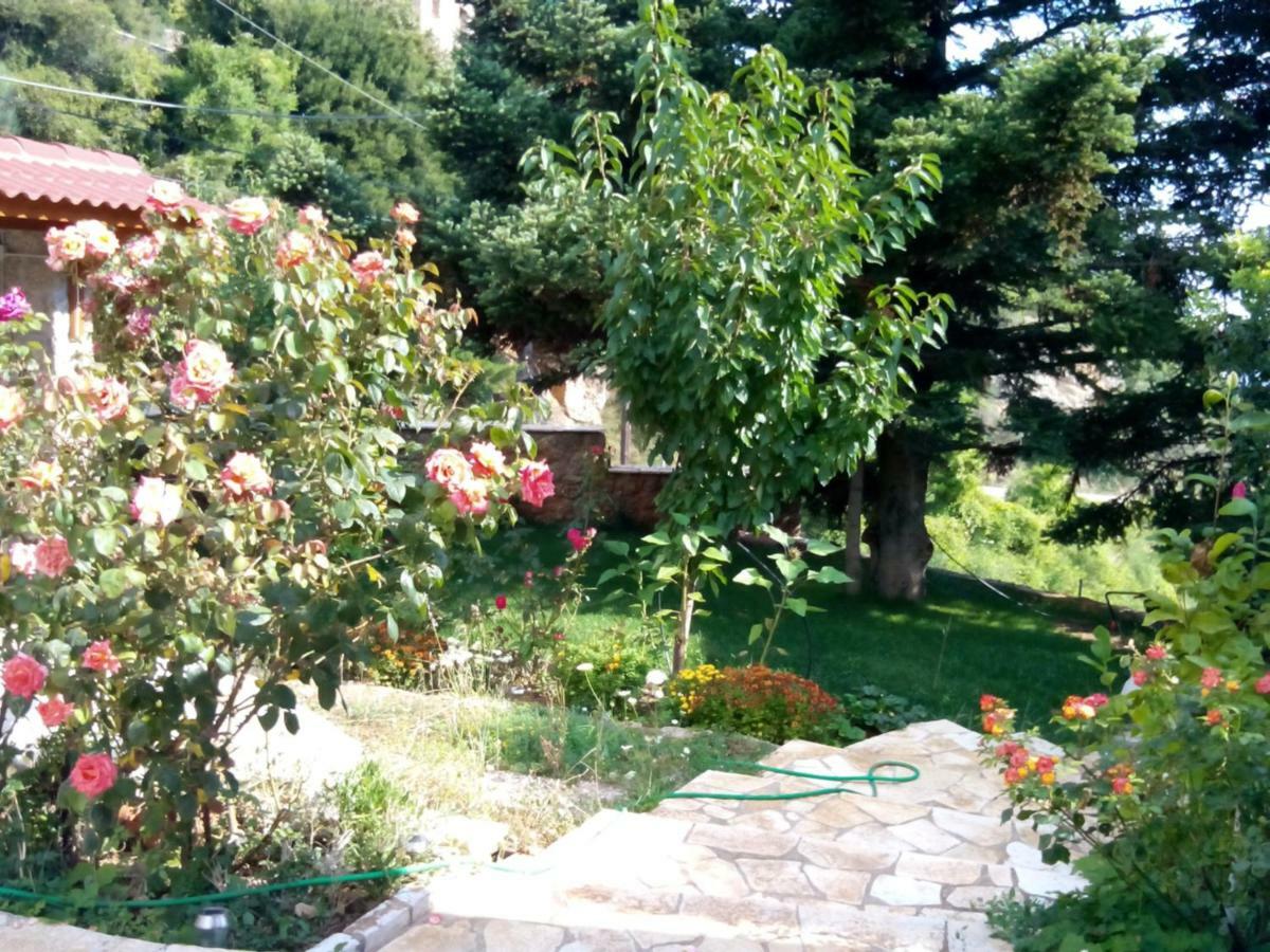Elatos Cozy Studio Trikala Exterior foto