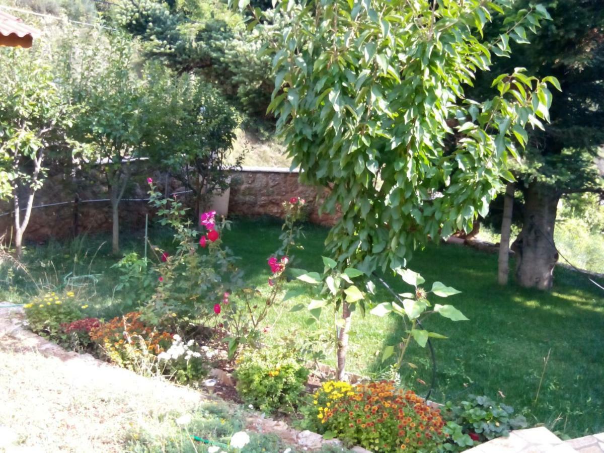 Elatos Cozy Studio Trikala Exterior foto